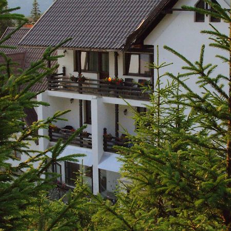 Cetina Hotel Ranca Luaran gambar