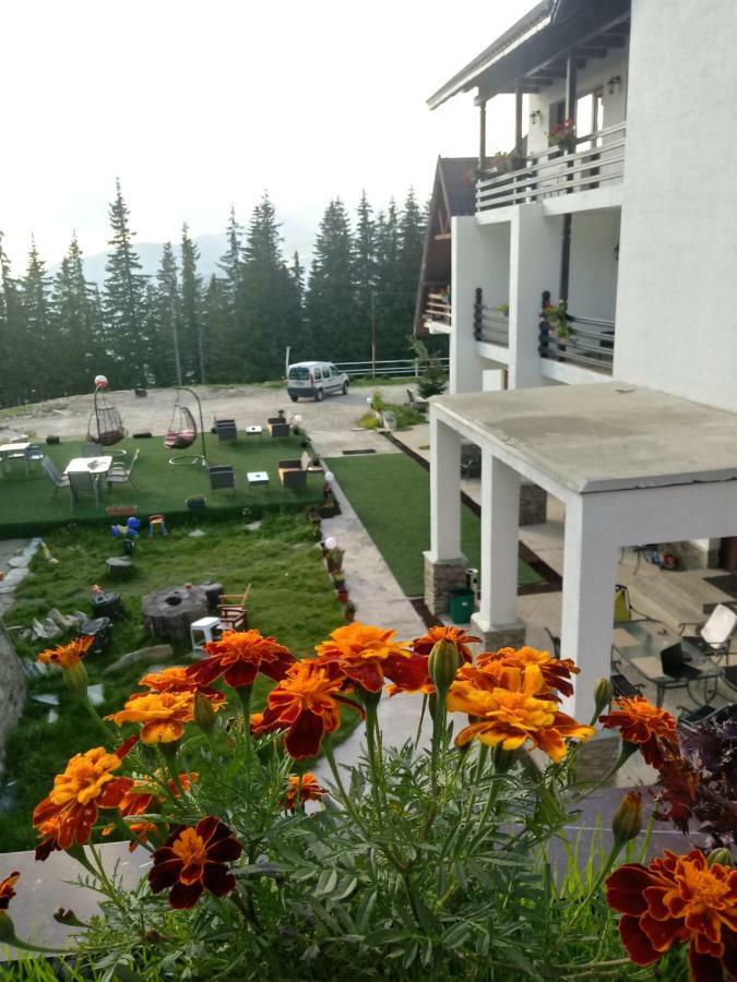 Cetina Hotel Ranca Luaran gambar