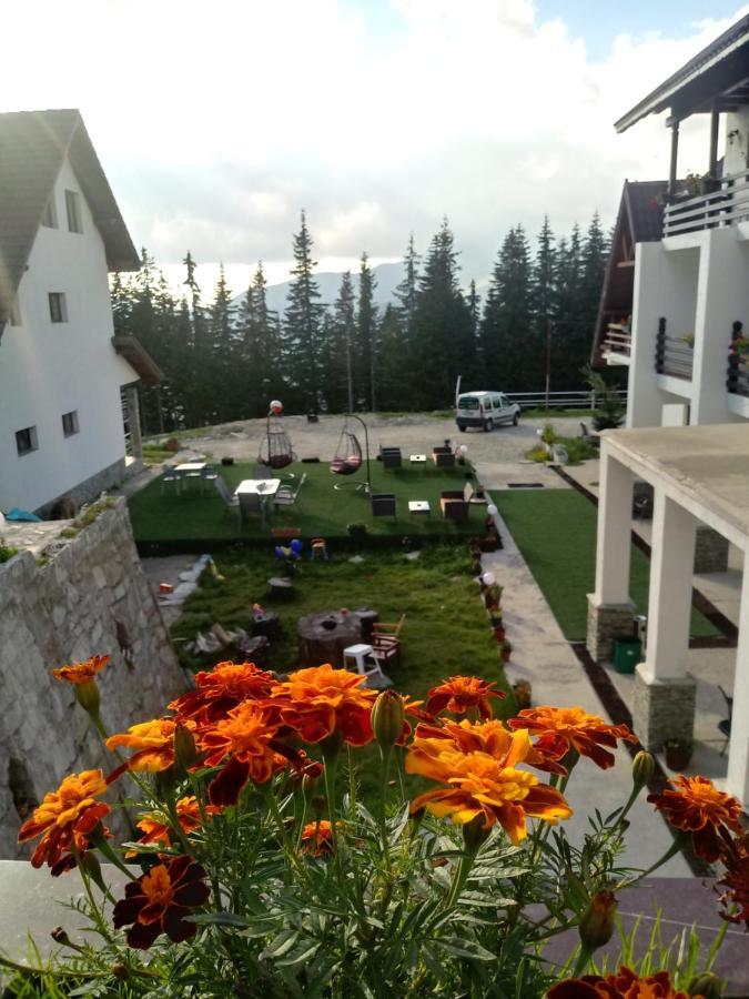 Cetina Hotel Ranca Luaran gambar